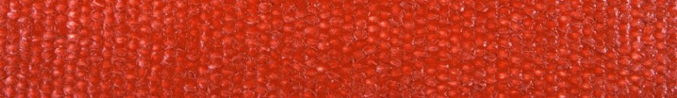 Silicone Coated